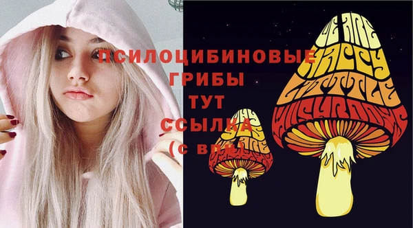 гидра Баксан