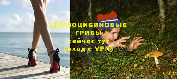 гидра Баксан