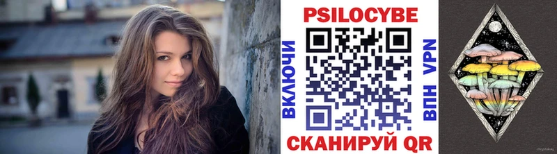 Псилоцибиновые грибы Cubensis  Лермонтов 