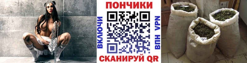 Конопля индика  Лермонтов 